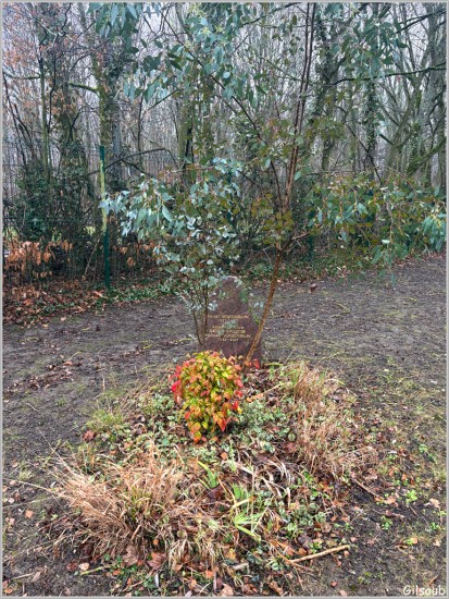 Cimetière jardin de Clamart - Janvier 2026
