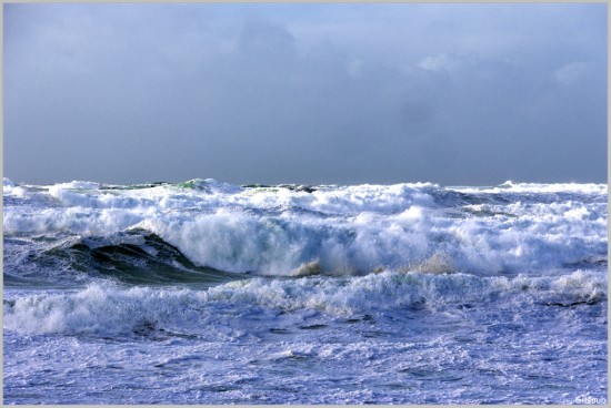 La Torche Janvier 2025