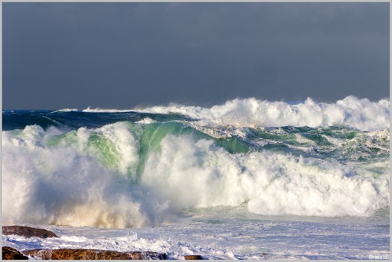 La Torche Janvier 2025
