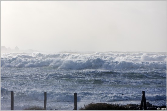 La Torche Janvier 2025