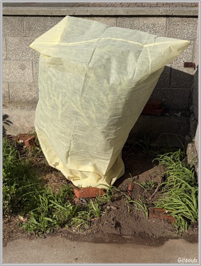 En sac - Automne 2025