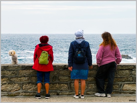 3 dames et un chien- Penmarc'h sept 2026