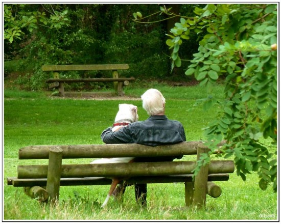 Un couple qui a du chien