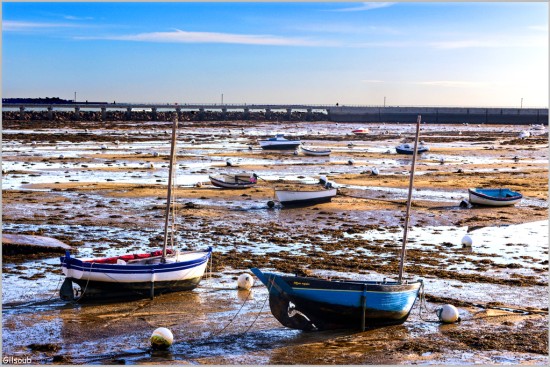 À marée basse - Port de Kérity - Janvier 2026