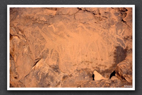Peinture Rupestre dans l'Akakus Libyens - Janvier 2006