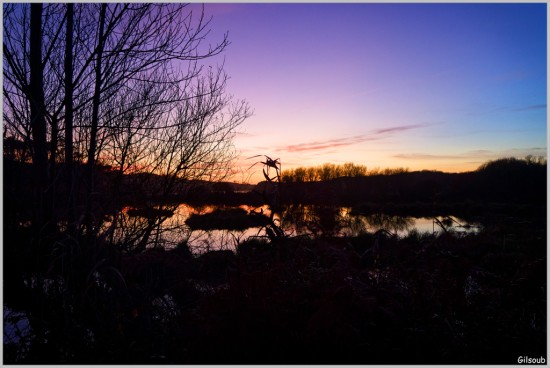 Entre chien et loup - Penmarc'h - décembre 1025
