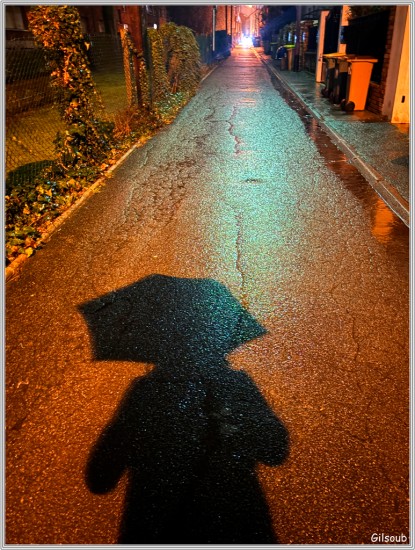 L'ombre au parapluie - Paris Fevrier 2026