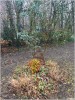 Visite aux parents - Cimetière jardin de Clamart -Jan 2026