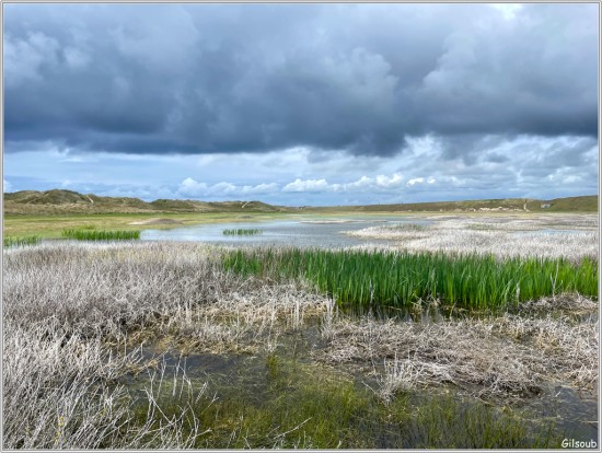 Marais de Tréguenec - Avril 2025
