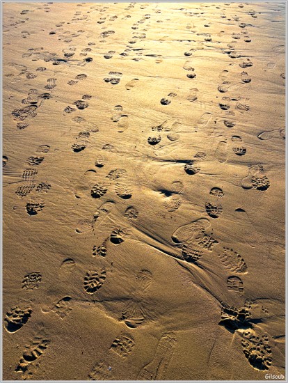 Des pas - Plage de Pors Carn Décembre 2025