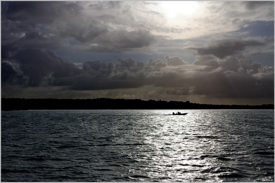 Entre deux grains - Port la Forêt Septembre 2025