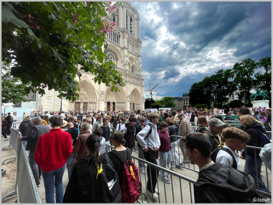 Devant Notre dame - Paris mai 2025