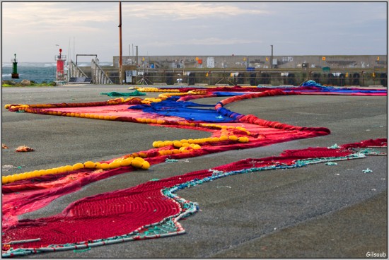 Filet de pêche - Port de St Guénolé Septembre 2025