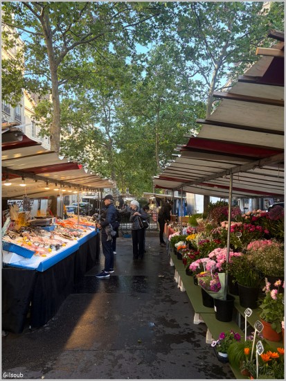 Marché Parisien - Mai 2026