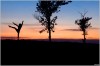 Arabesque sur coucher de soleil - Ile de Ré Juillet 2020